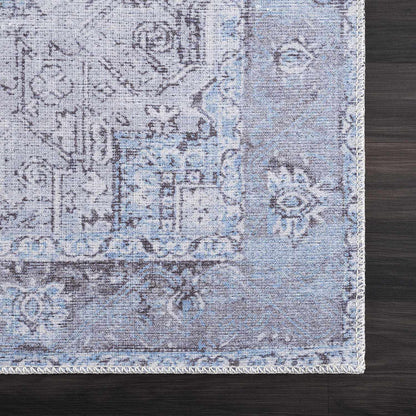 Aqua Rosman Washable Area Rug - Clearance