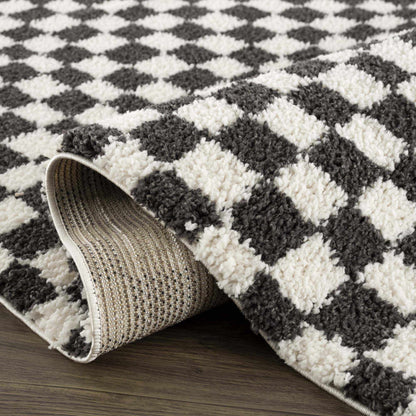 Kieu Black & White Checkered Area Rug