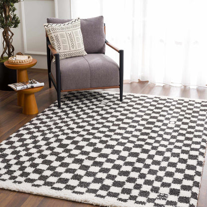 Kieu Black & White Checkered Area Rug