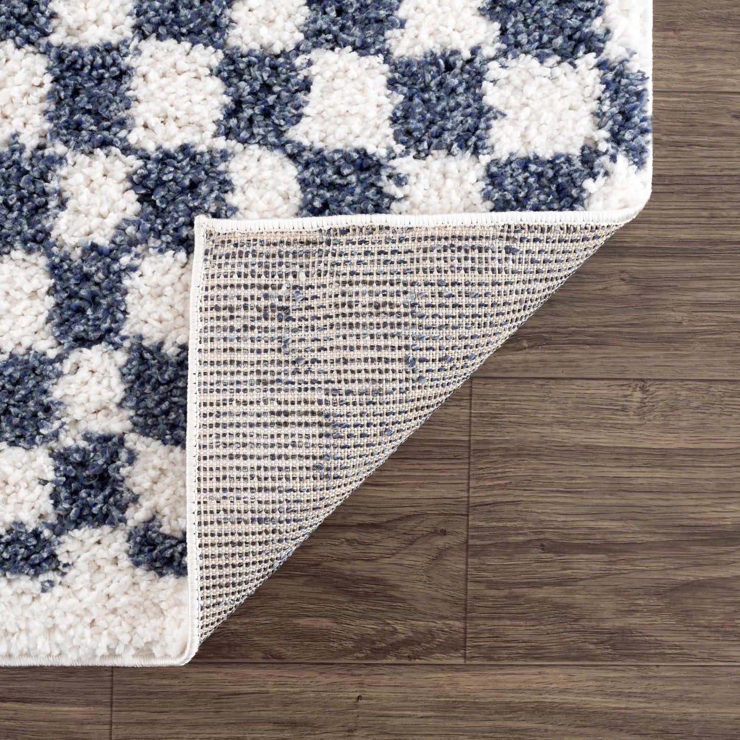 Kieu Blue & White Checkered Area Rug