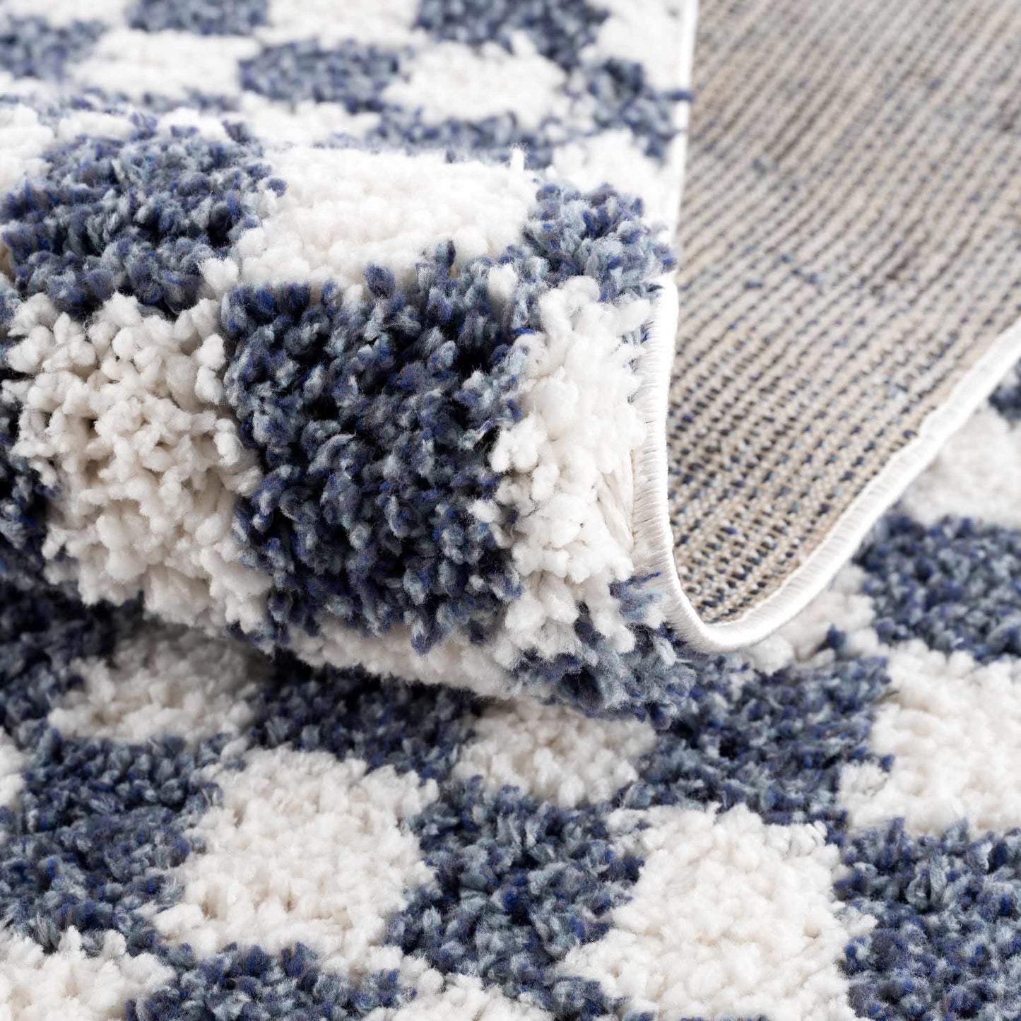 Kieu Blue & White Checkered Area Rug