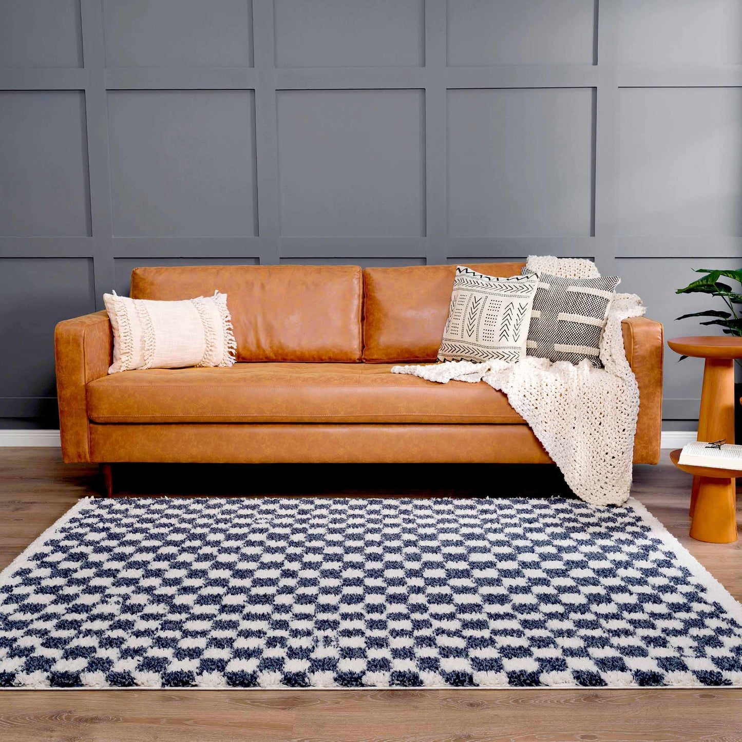 Kieu Blue & White Checkered Area Rug