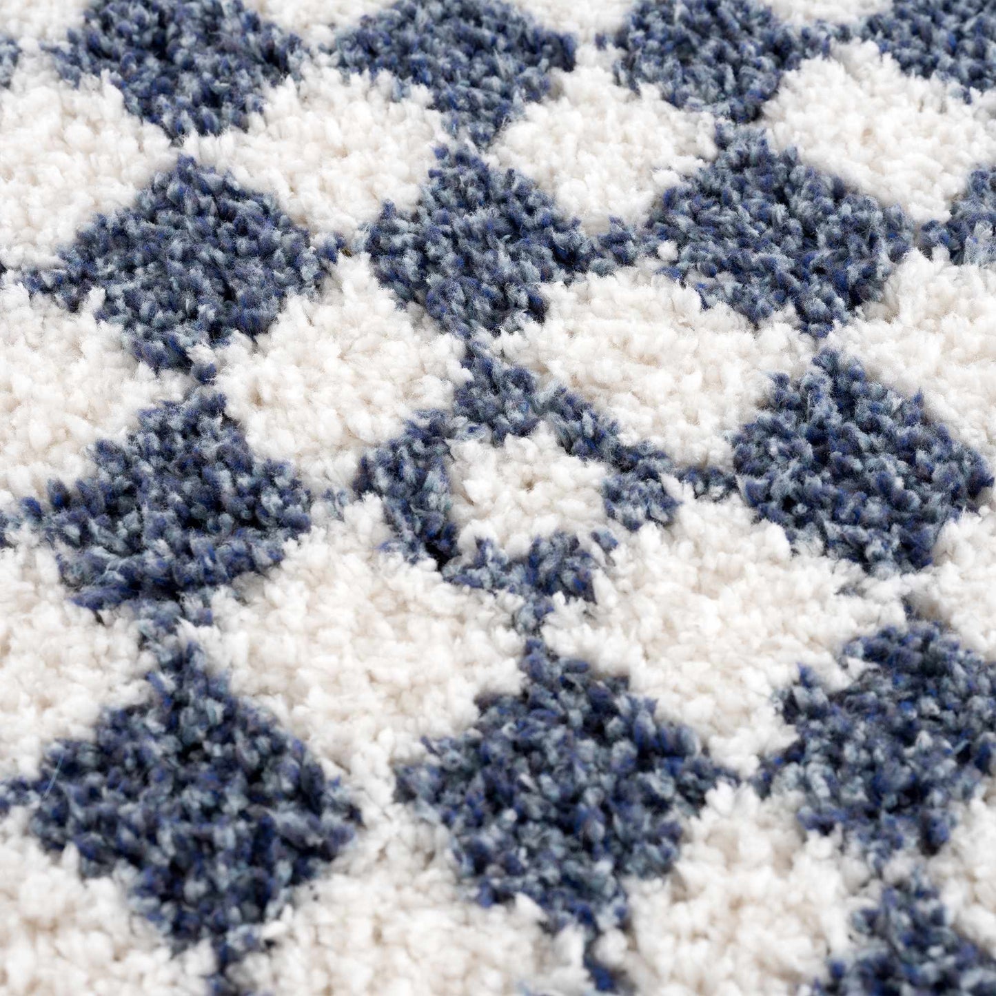 Kieu Blue & White Checkered Area Rug