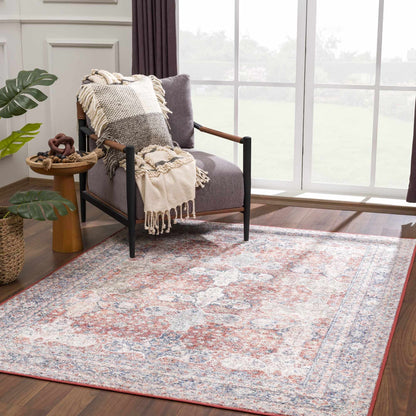 Ambre Washable Area Rug - Clearance