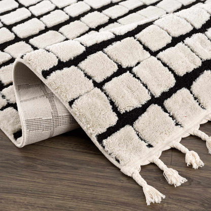 Teshi Checkered Area Rug