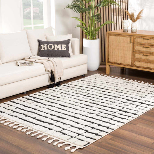 Teshi Checkered Area Rug