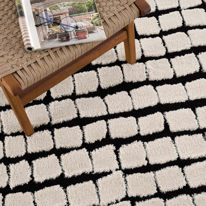 Teshi Checkered Area Rug