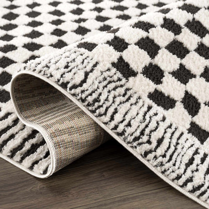 Leryn Black & White Checkered Area Rug