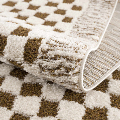 Leryn Brown&White Checkered Rug