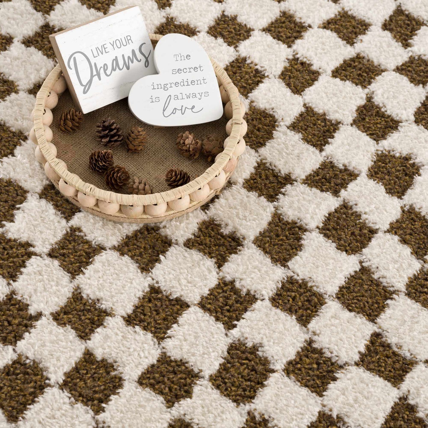 Leryn Brown&White Checkered Rug