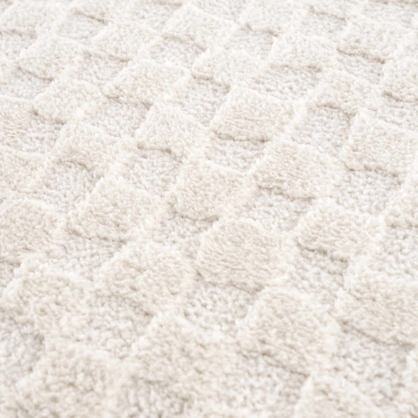 Leryn Ivory Checkered Area Rug