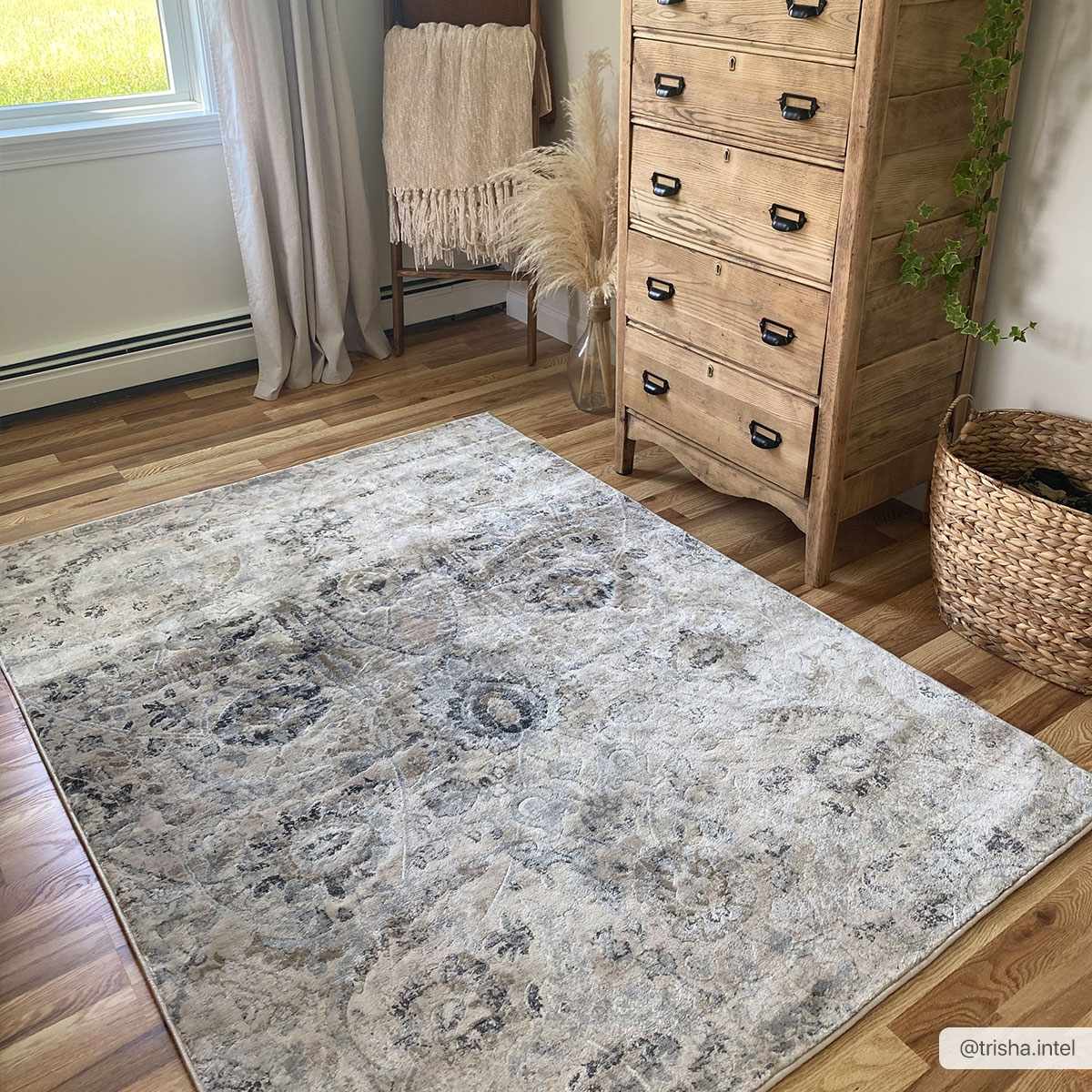 Georgiana Beige Area Rug