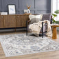 Bakir Area Rug - Clearance