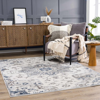 Calum Blue & Gray Area Rug - Clearance