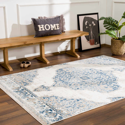 Amir Blue Medallion Area Rug