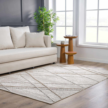 Baqer Bone & Tan Textured Performance Rug - Clearance