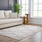 Baqer Bone & Taupe Textured Performance Rug - Clearance