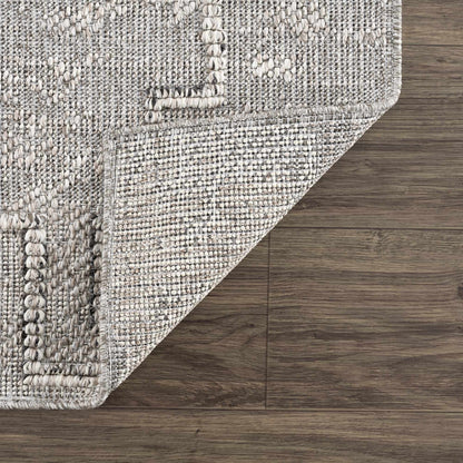 Butch Taupe Textured Performance Rug - Clearance