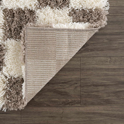 Atira Brown Checkered Area Rug