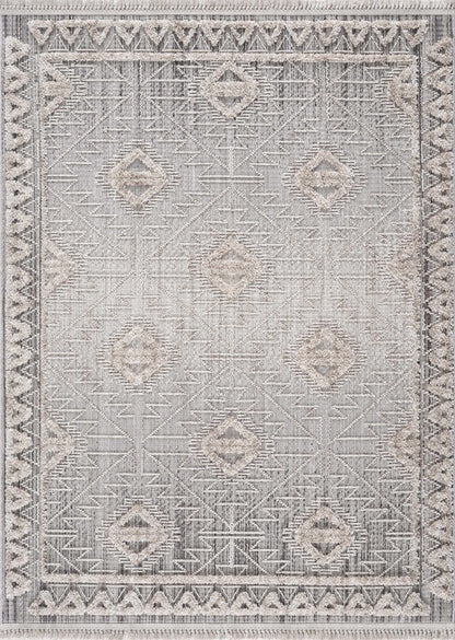 Agoo High-Low Pile Performance Rug