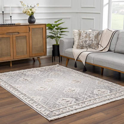 Agoo High-Low Pile Performance Rug