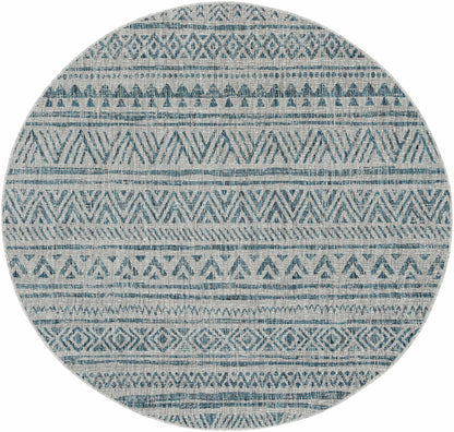 Ambridge Area Rug