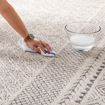 Burdette Soft Neutral Rug