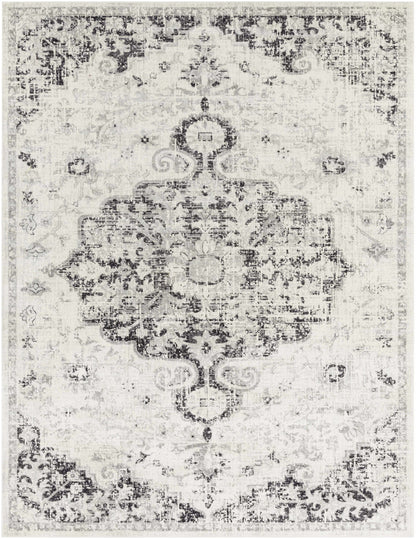 Bodrum Gray Area Rug