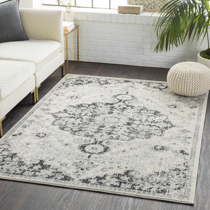 Bodrum Gray Area Rug