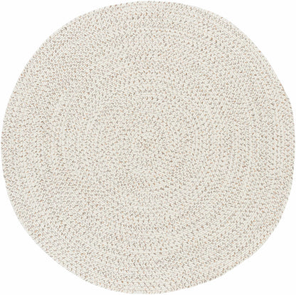 Beige Braided Faux Jute Rug