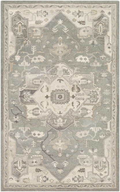 Broomfield Hand Tufted Taupe 1196 Area Rug