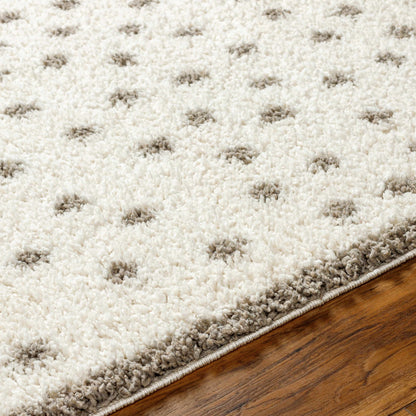 Chaia Dotted Cream & Gray Plush Rug