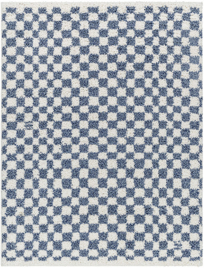 Kieu Blue & White Checkered Area Rug