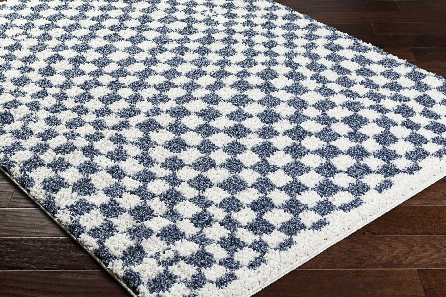 Kieu Blue & White Checkered Area Rug