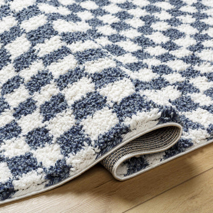 Kieu Blue & White Checkered Area Rug