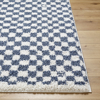 Kieu Blue & White Checkered Area Rug