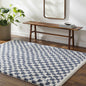 Kieu Blue & White Checkered Area Rug