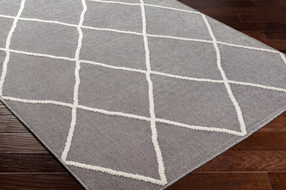 Amani Gray Area Rug - Clearance