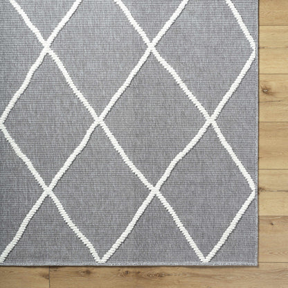 Amani Gray Area Rug - Clearance