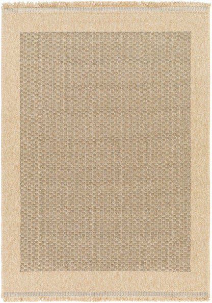 Biana Indoor & Outdoor Rug