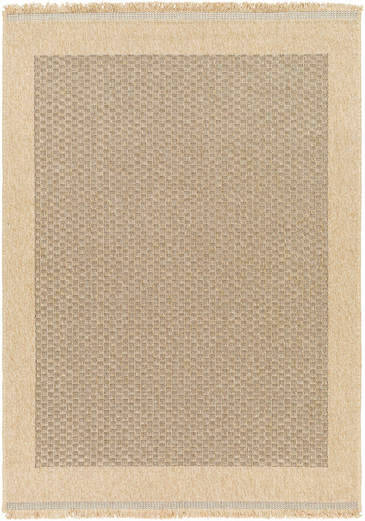 Biana Indoor & Outdoor Rug