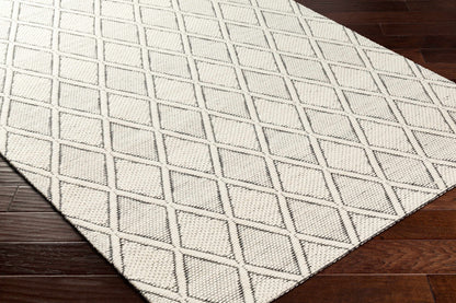 Aeron Wool Area Rug