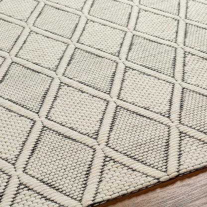 Aeron Wool Area Rug