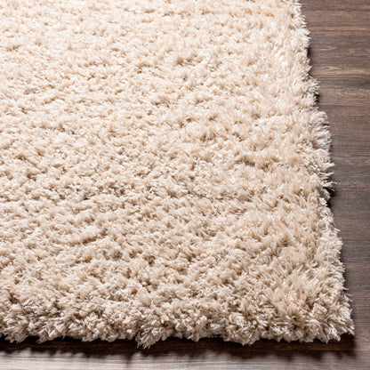 Siari Solid Oatmeal Shag Rug